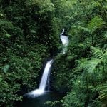 Waterval en groene vegetatie in Monteverde
